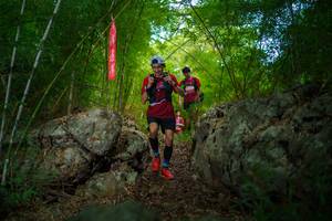 BIB: 
                            <button type="button" onclick="openModal(22089278)" class="btn btn-primary btn-sm float-right btn-popup" data-toggle="modal" data-target=".modal-high-quality">
                        <i class="fas fa-shopping-cart"></i> Add to Cart
                    </button>
                                            <button type="button" onclick="isThisMe(22089278, true)" class="btn btn-success btn-sm float-right btn-popup btn-isme hidden" data-toggle="tooltip" data-placement="bottom" title="นี่คือรูปของคุณใช่ไหม คลิกที่นี่เพื่อเอาเข้าอัลบั้ม">
                        <i class="fas fa-plus"></i> Add to album
                    </button>
                    <button type="button" onclick="isThisMe(22089278, false)" class="btn btn-warning btn-sm float-right btn-popup btn-isnotme hidden">
                        <i class="fas fa-ban"></i> Remove from album
                    </button>